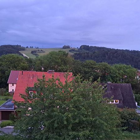 Harzer Ferienwohnung Mit Pool Und Sauna Bad Lauterberg Exterior photo